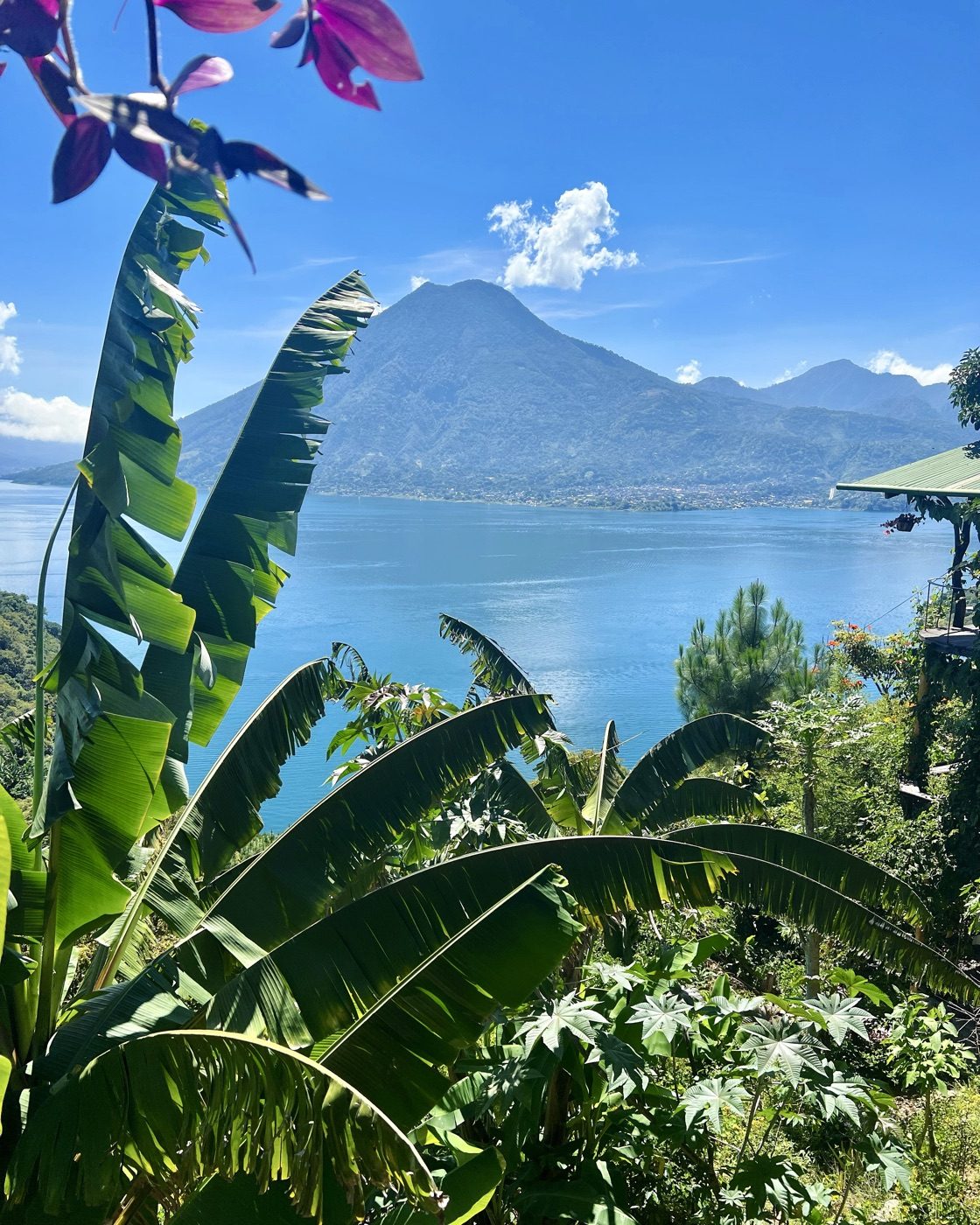 Lake Atitlán and the volcanoes on a clear day, framed by tropical leaves